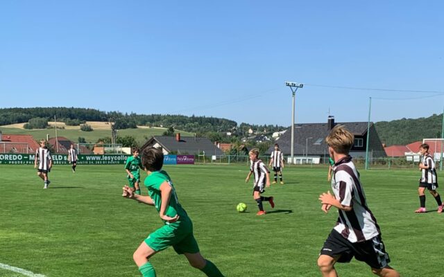 Příprava starších žáků U15 v kostce